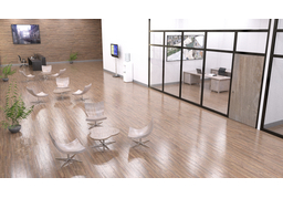 on the wholeのイラスト